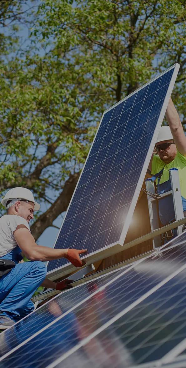 cate